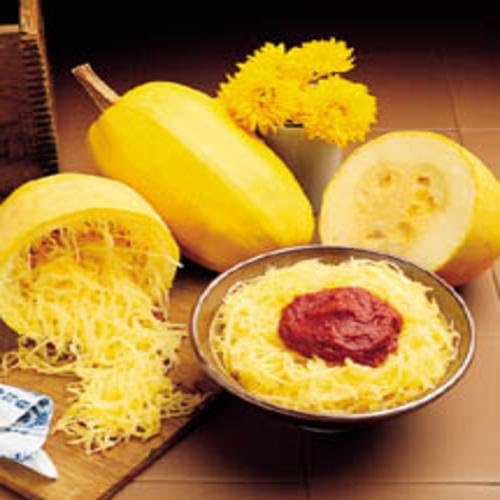 How Many Carbs In Spaghetti Squash